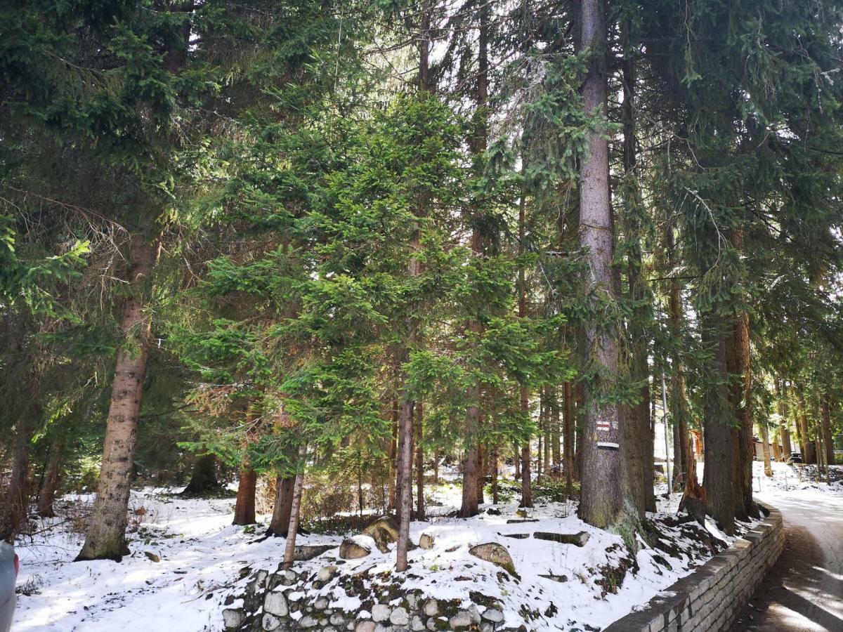 Excellent Studios For Your Vacation-Hotel Villa Park- Borovets Exterior foto